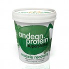Energy Feelings Andean Protein Ecológico, Tarrina – 2 Paquetes de 250 gr – Total: 500 gr